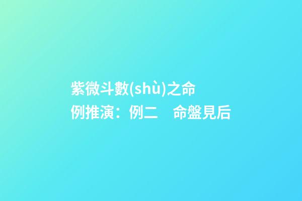 紫微斗數(shù)之命例推演：例二　命盤見后